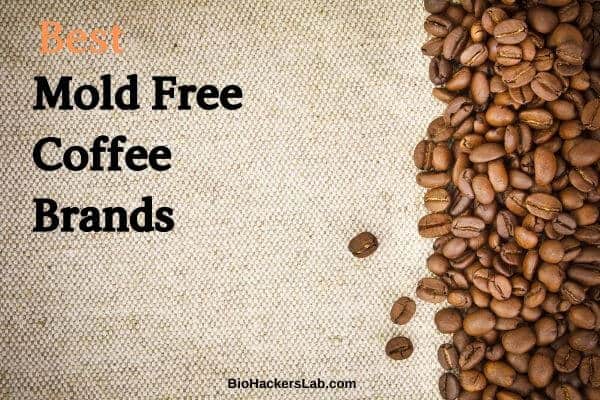 mold free coffee uk